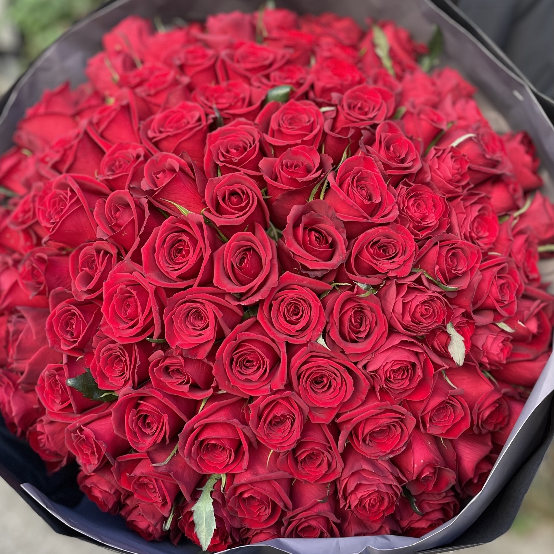 【プロポーズ】ザ・プリンス パークタワー東京へ108本のバラの花束をお届け